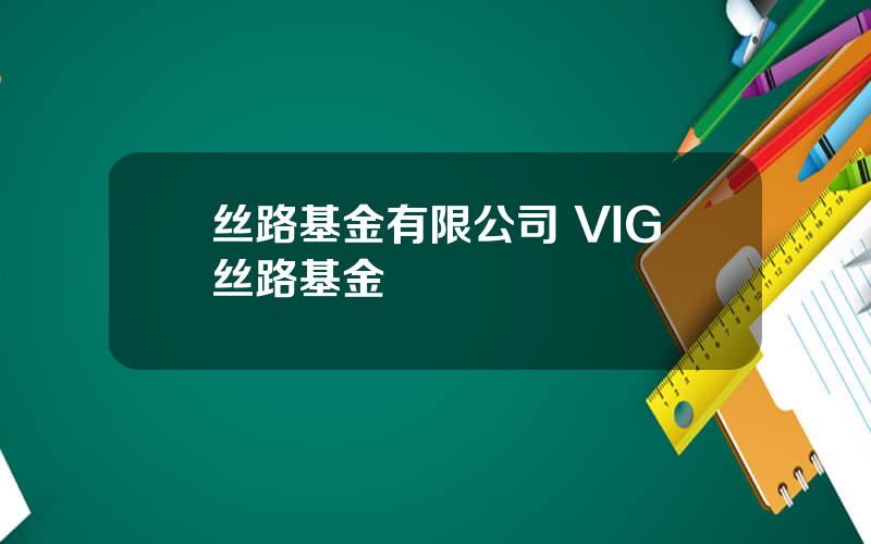 丝路基金有限公司 VIG丝路基金